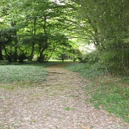 House La Douviere Holiday home